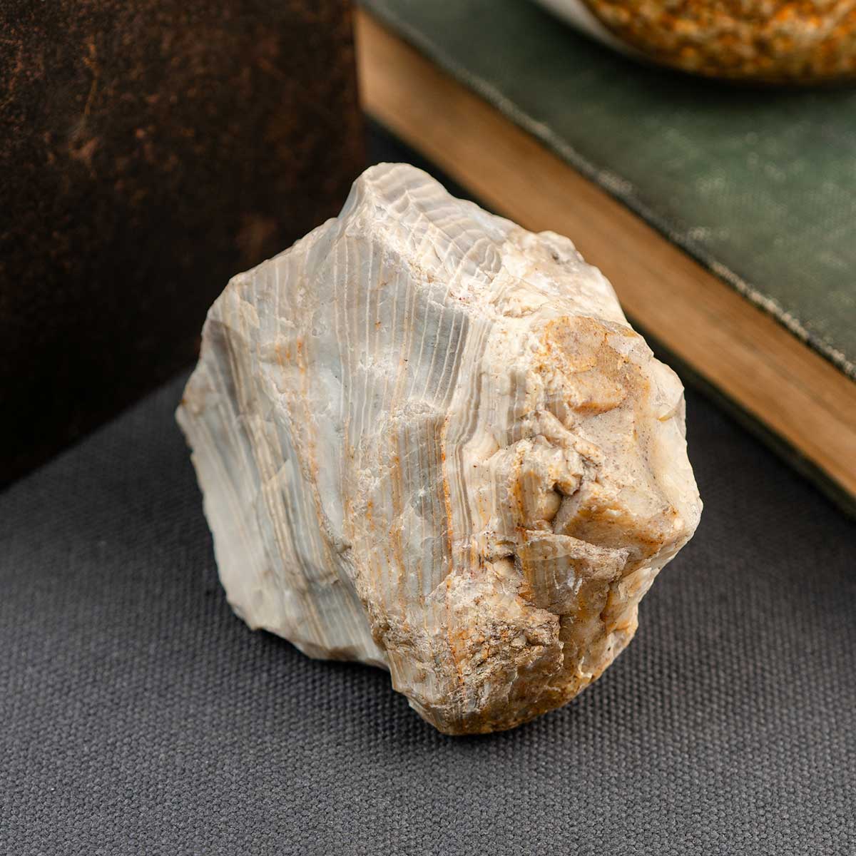 Close-up of a rough-textured striped chert rock on a gray surface with books in the background