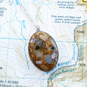 A speckled brown stone shaped into an oval and set as a pendant necklace