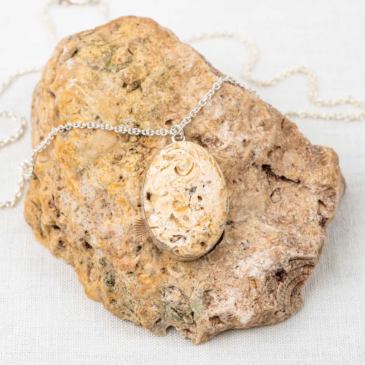 Fossilized Coral → Pendant Necklace
