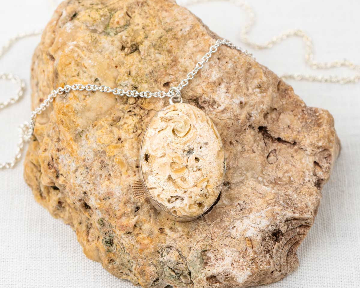 Fossilized Coral → Pendant Necklace
