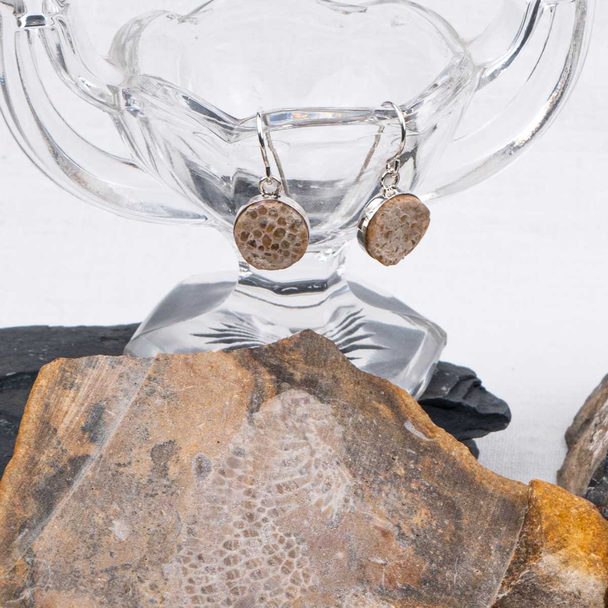 Favosite Coral Fossil → Dangling Earrings