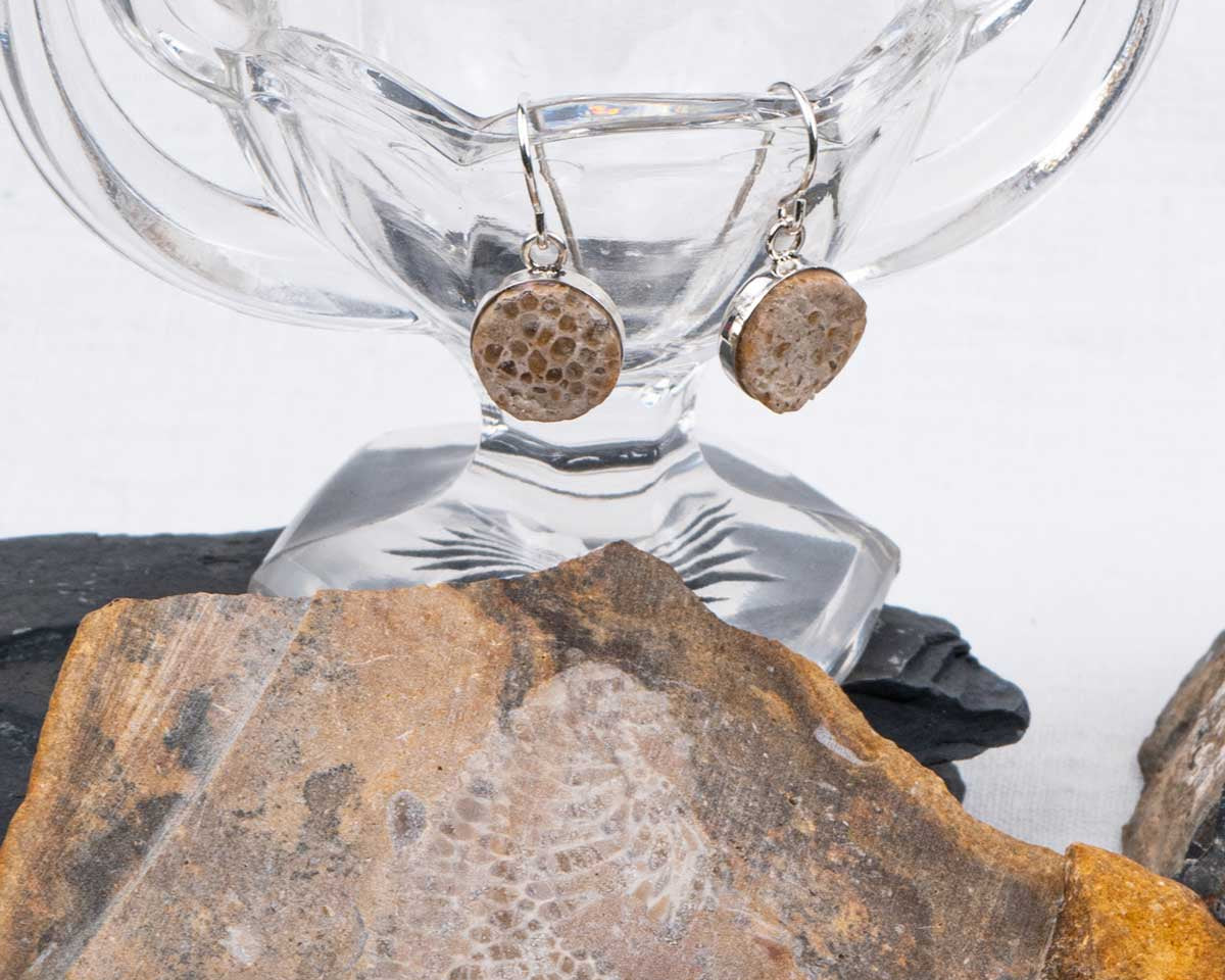 Favosite Coral Fossil → Dangling Earrings