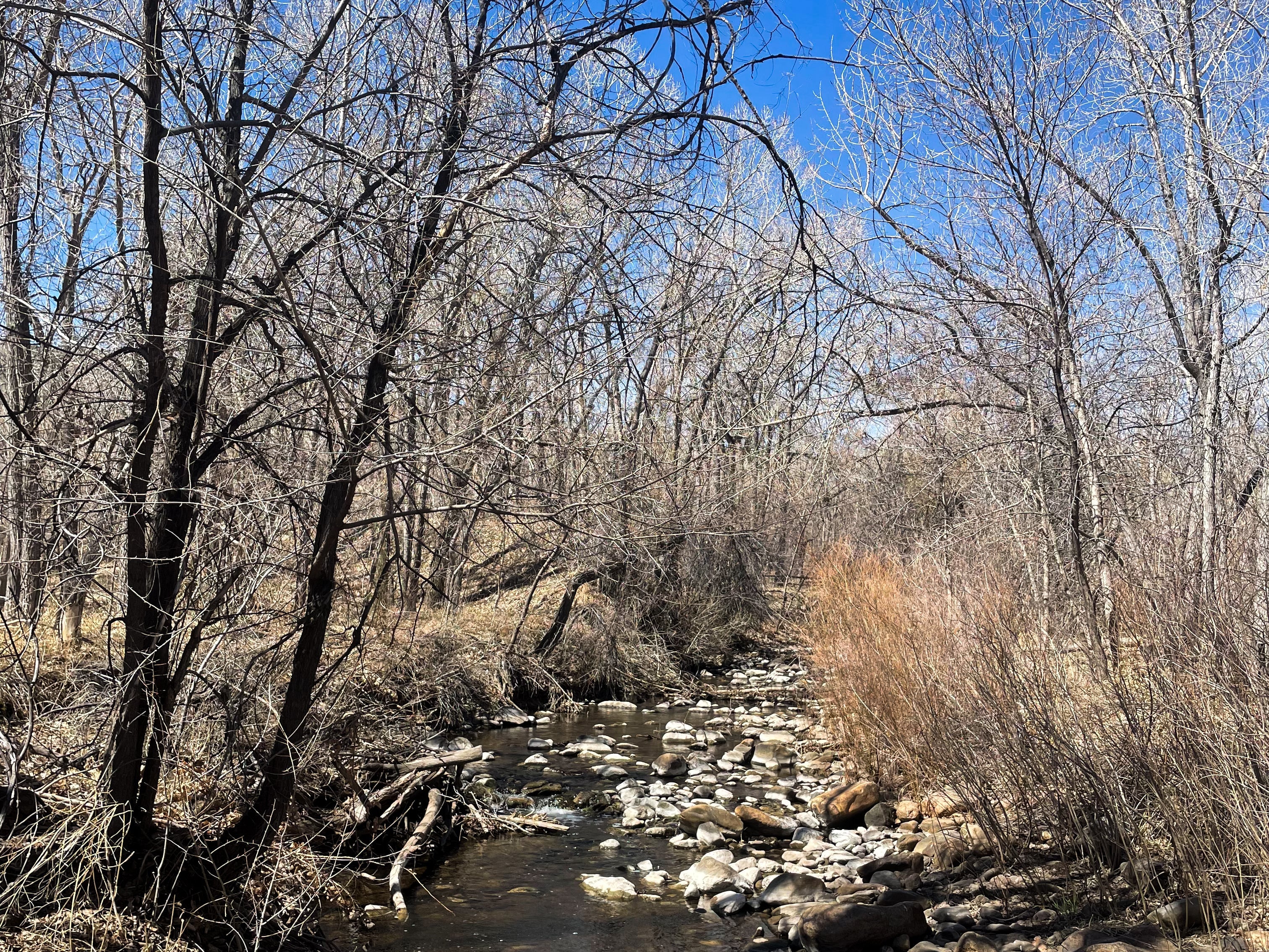 Don't Have a Stone? Use One of Mine!