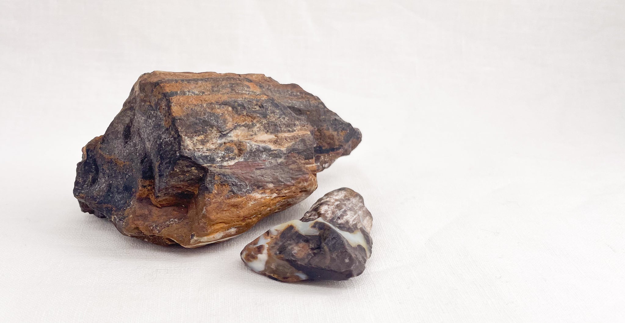 Know Your Stone: Petrified Wood