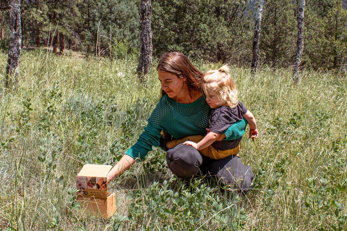 Where Can I Collect Rocks?