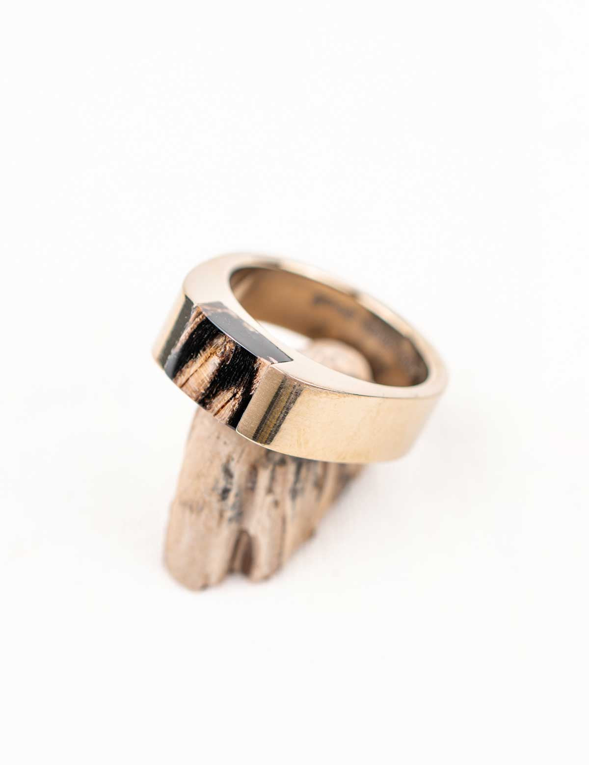 Signpost Signet Ring with Your Stone | Champagne Steel