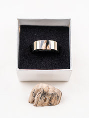 Signpost Signet Ring with Your Stone | Champagne Steel