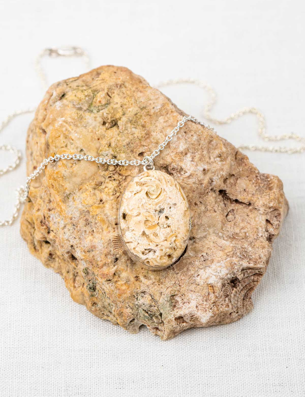 1600_Lodestar_Classic_SS_FossilizedCoral_2_web.jpg