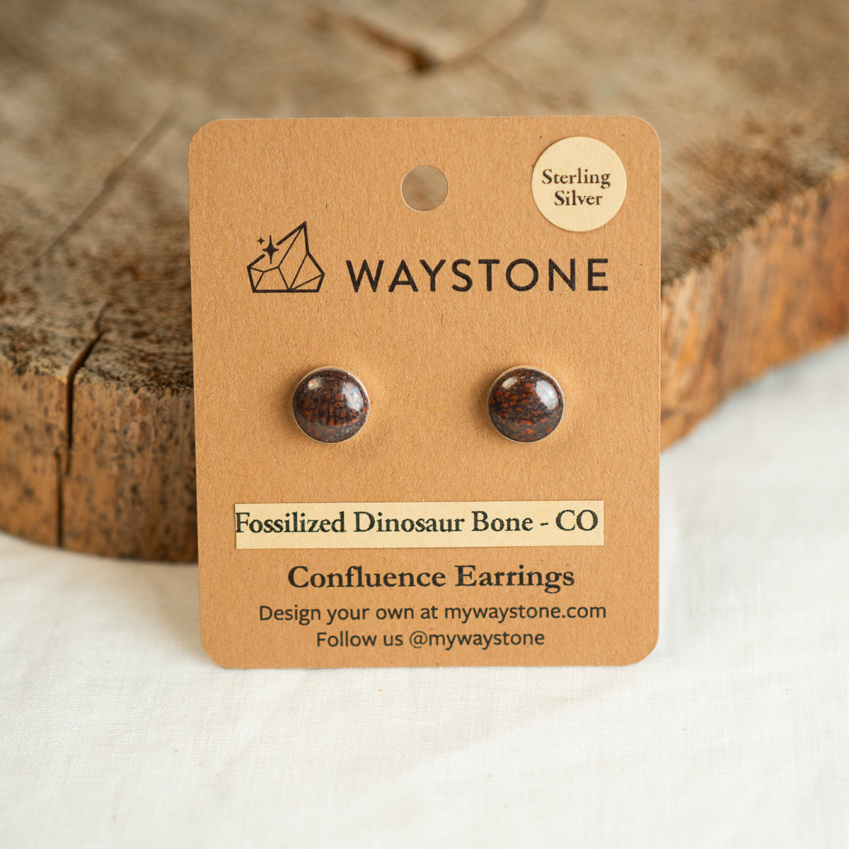 10 mm round red fossilized dinosaur bone earrings from Colorado, polished to a shine and set in sterling silver studs