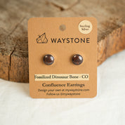 10 mm round red fossilized dinosaur bone earrings from Colorado, polished to a shine and set in sterling silver studs