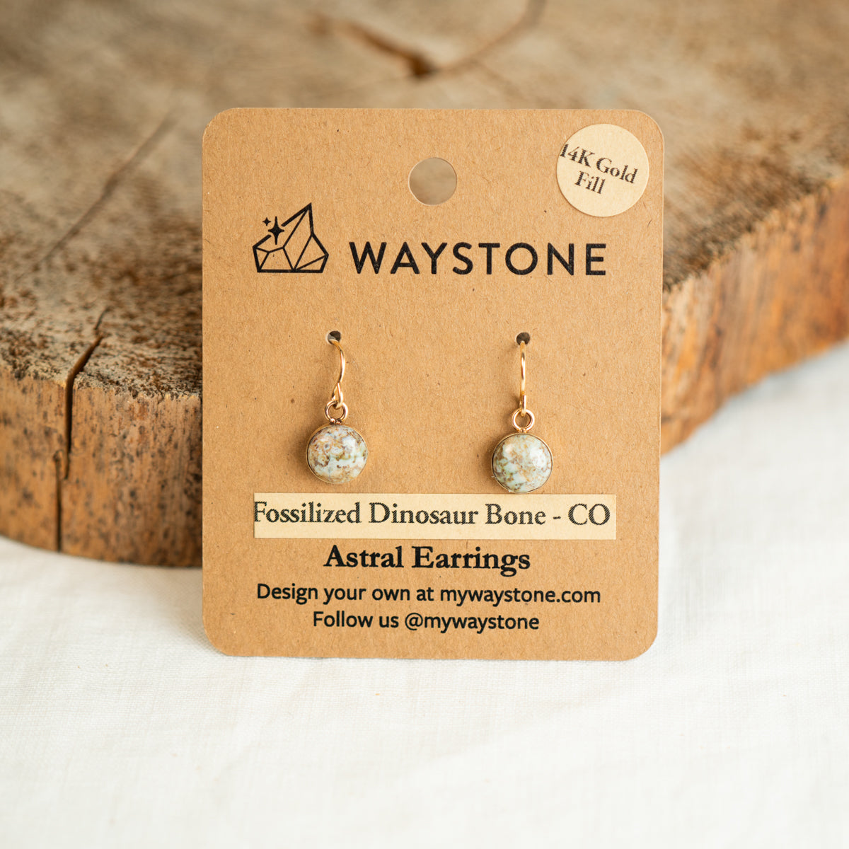 8 mm round cream fossilized dinosaur bone earrings from Colorado, polished to a shine and set in 14k dangle earrings