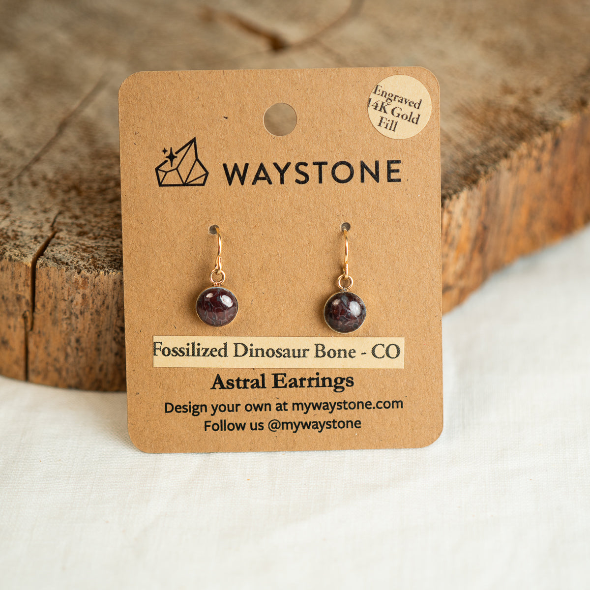8 mm round red fossilized dinosaur bone earrings from Colorado, polished to a shine and set in 14k gold dangle earrings