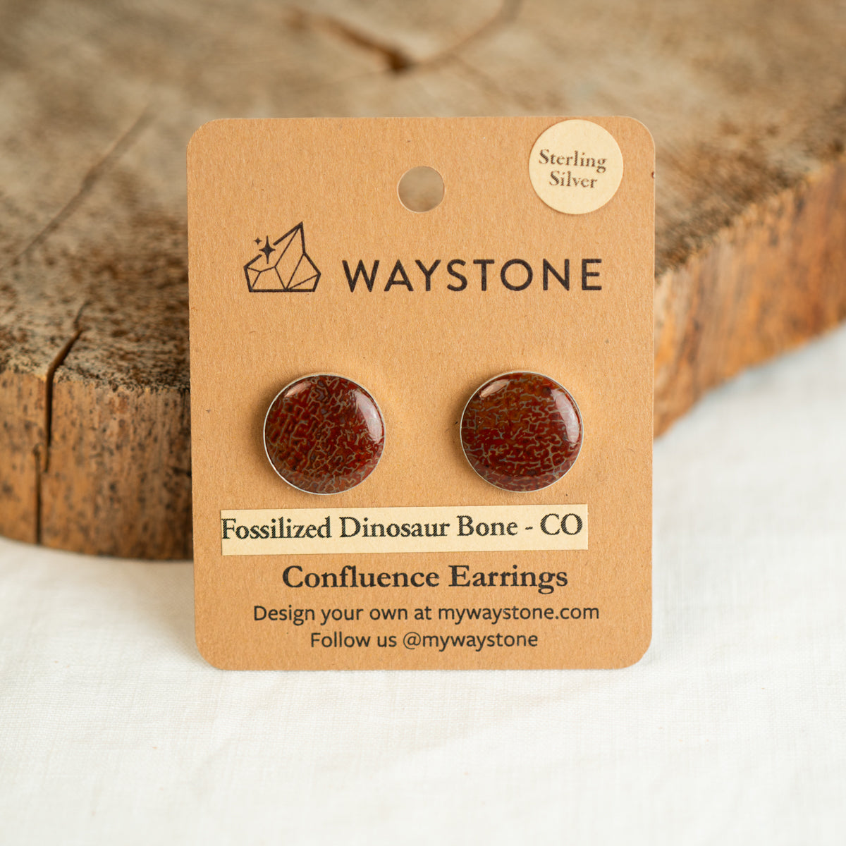 16 mm round red fossilized dinosaur bone earrings from Colorado, polished to a shine and set in sterling silver studs