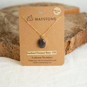 Small Lodestar Necklace with 12mm x 16mm Red Fossilized Dinosaur Bone picked up in Colorado