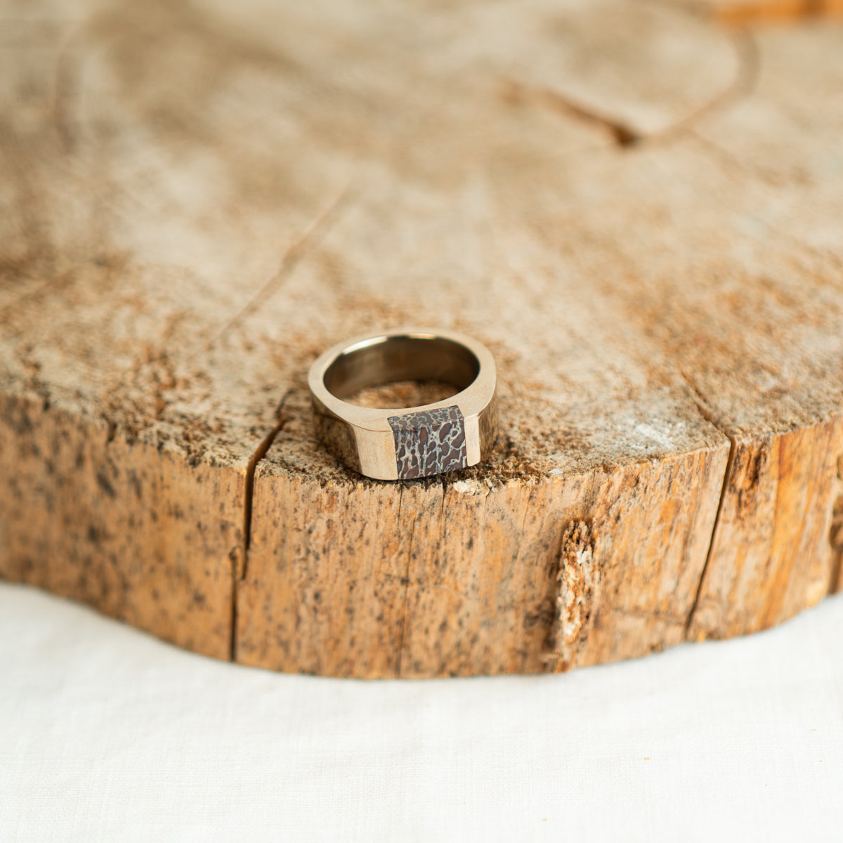 8 mm round red fossilized dinosaur bone earrings from Colorado, polished to a shine and set in 14k gold studs