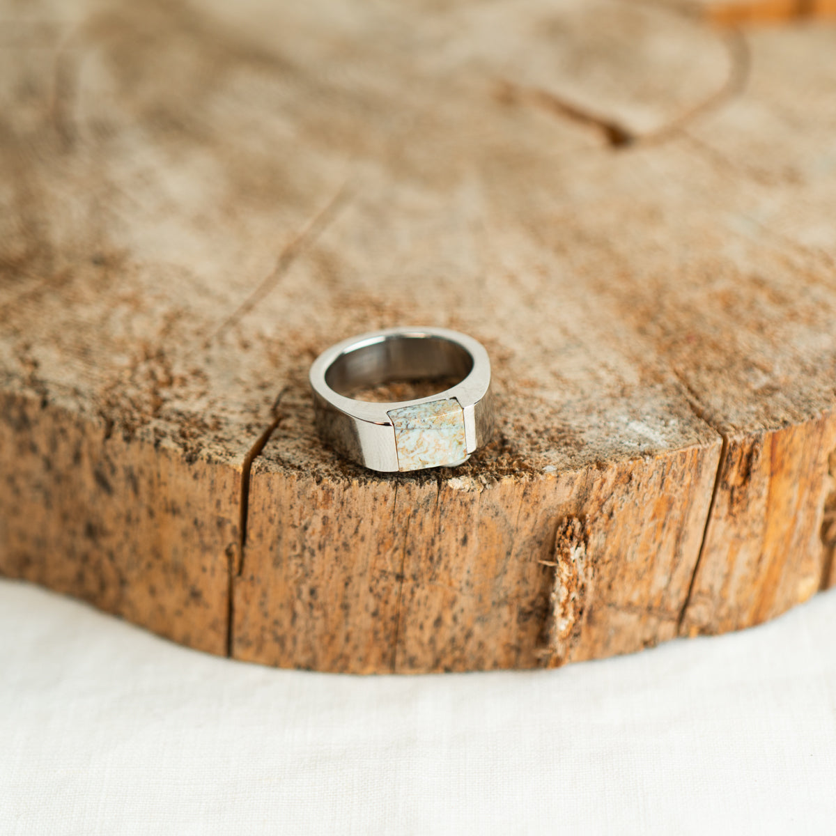 8 mm round cream fossilized dinosaur bone earrings from Colorado, polished to a shine and set in 14k gold studs