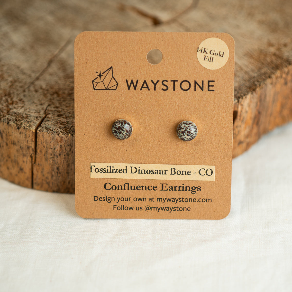 8 mm round red fossilized dinosaur bone earrings from Colorado, polished to a shine and set in 14k gold studs