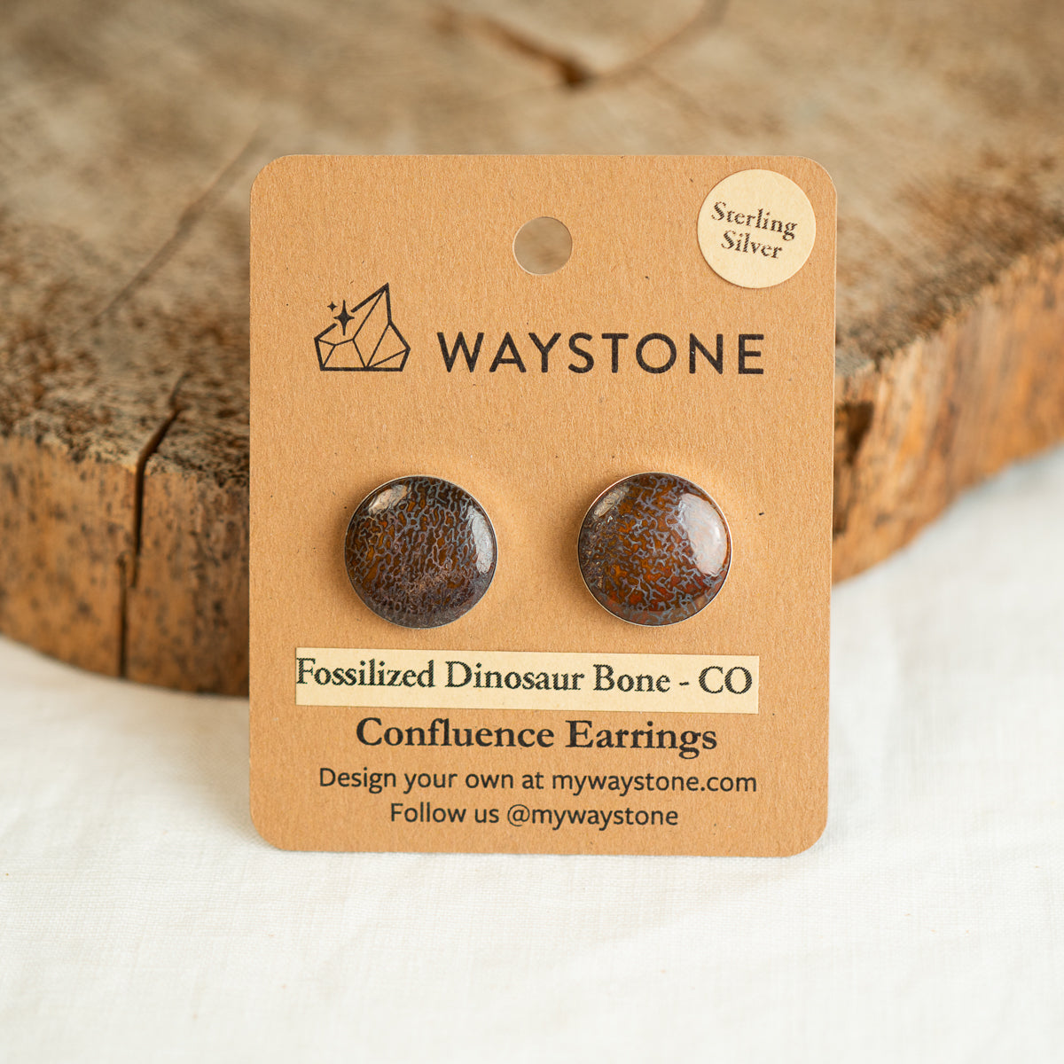 16 mm round red fossilized dinosaur bone earrings from Colorado, polished to a shine and set in sterling silver studs