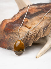 Tan Petrified Wood Classic Lodestar Necklace | Silver