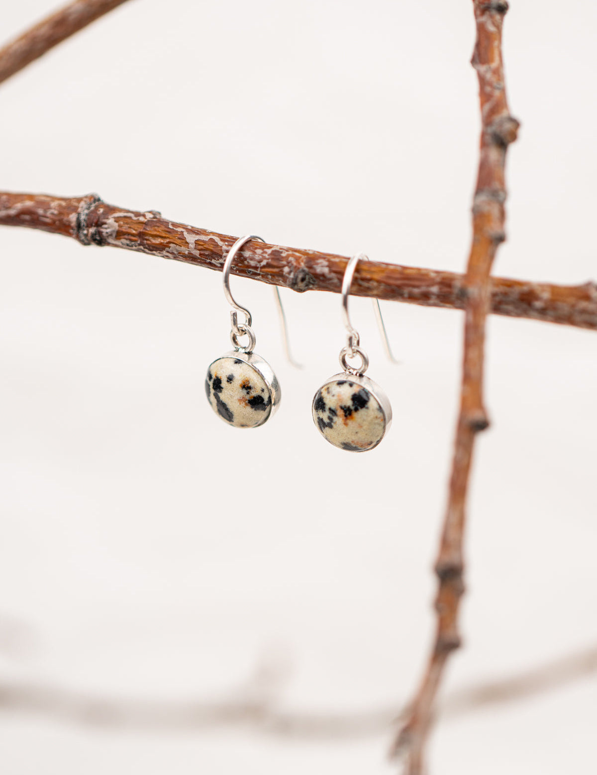 Dalmatian jasper stone earrings hanging on a branch with a blurred background