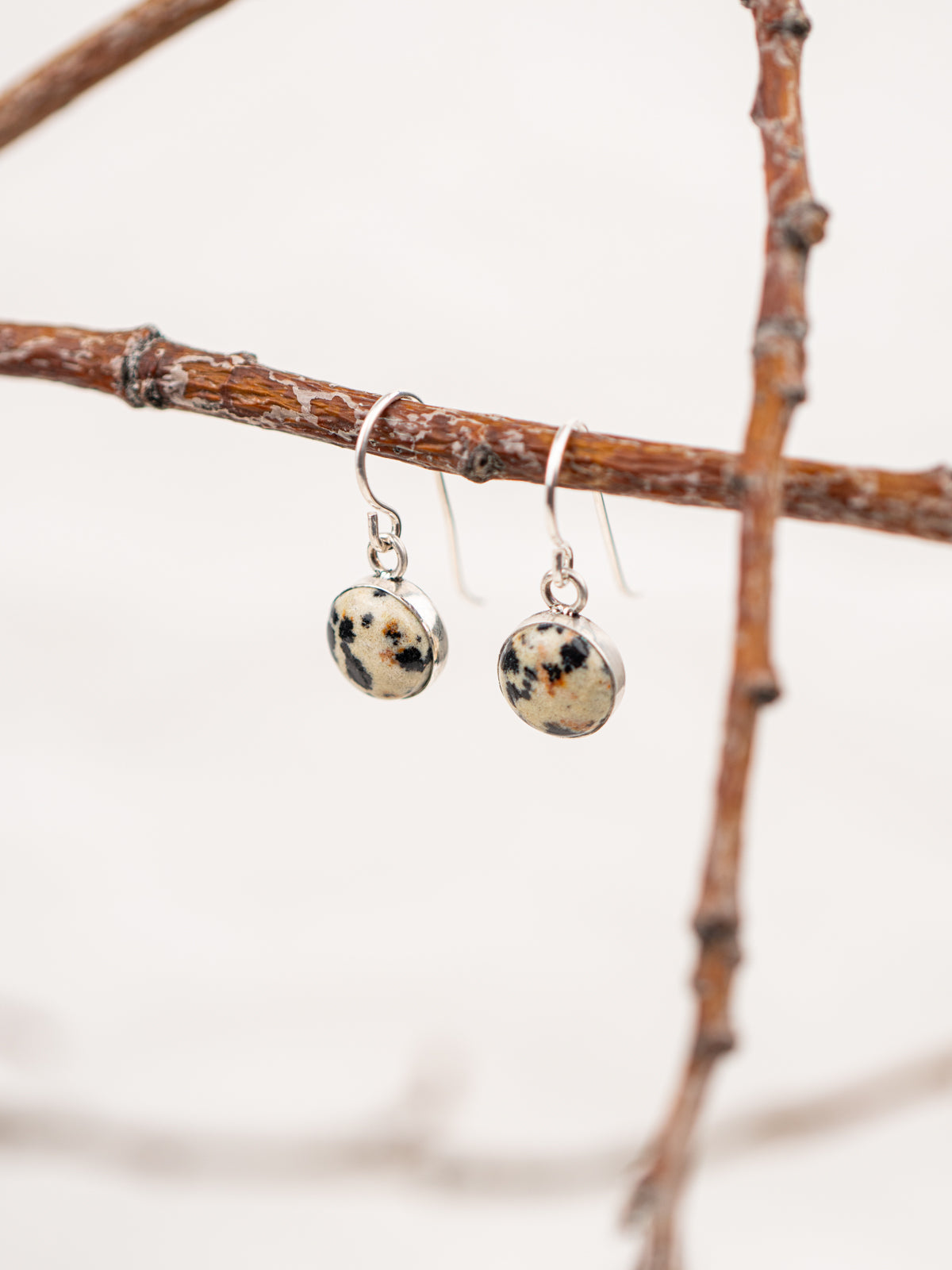 Dalmatian jasper stone earrings hanging on a branch with a blurred background