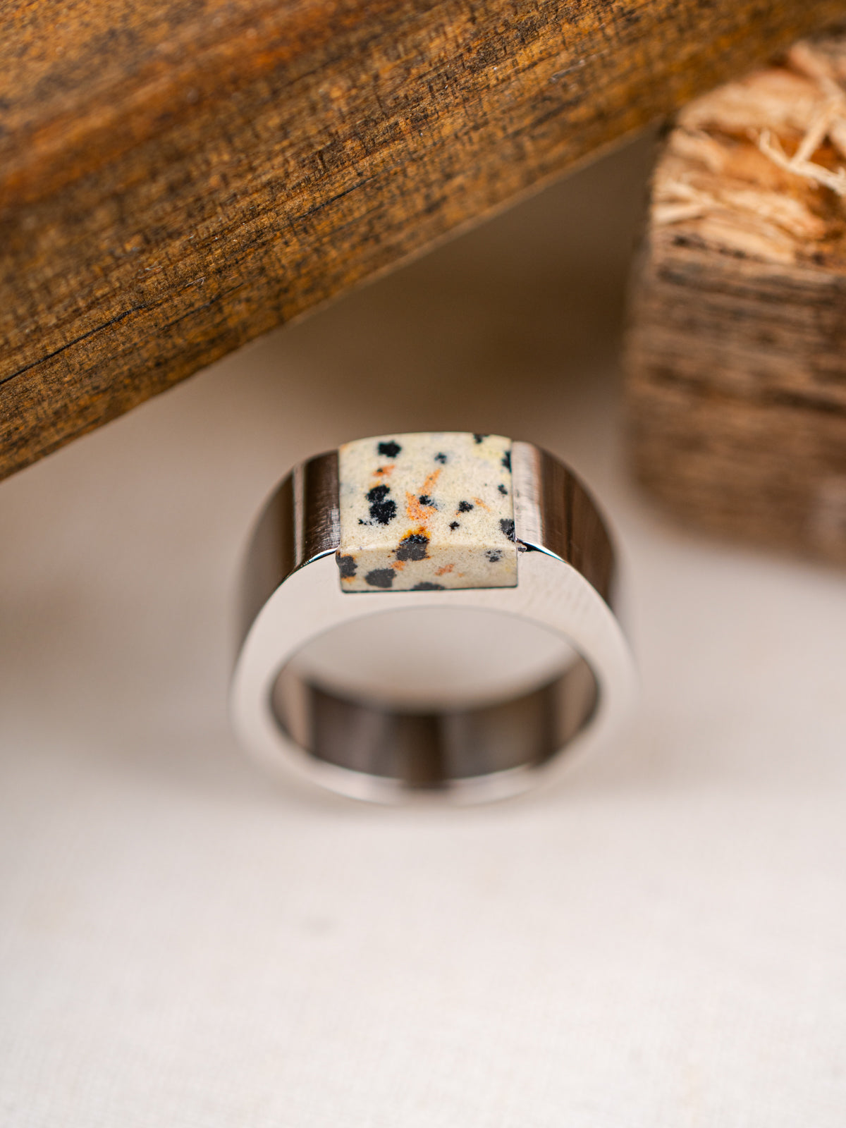 Silver Stainless Steel Signpost Signet Ring - Dalmatian Jasper | 7.5