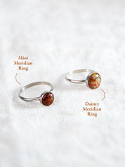 Two silver rings set with circular rocks in different sizes, the smaller Mini and the larger Dainty